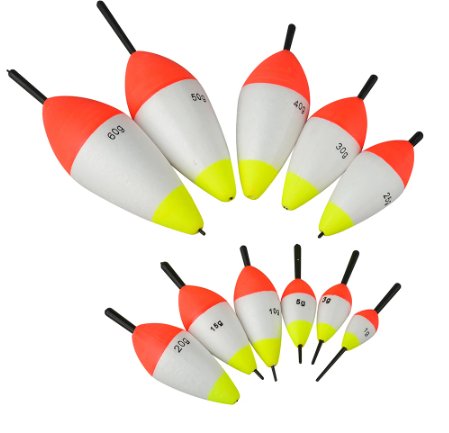 ¿Que es la pesca de Coup o Boloñesa? - TOPESCA - Tienda de Pesca Online